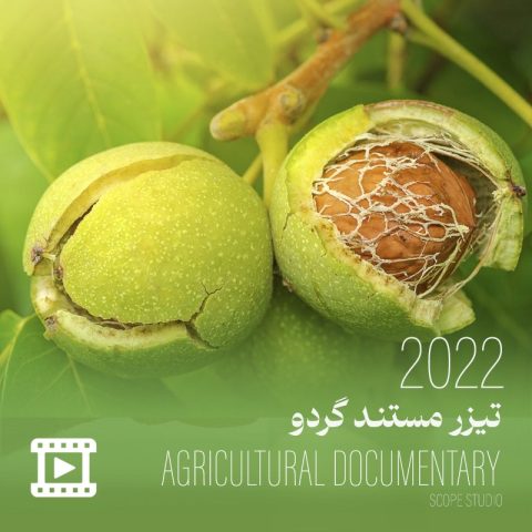 تیزر مستند گردو
