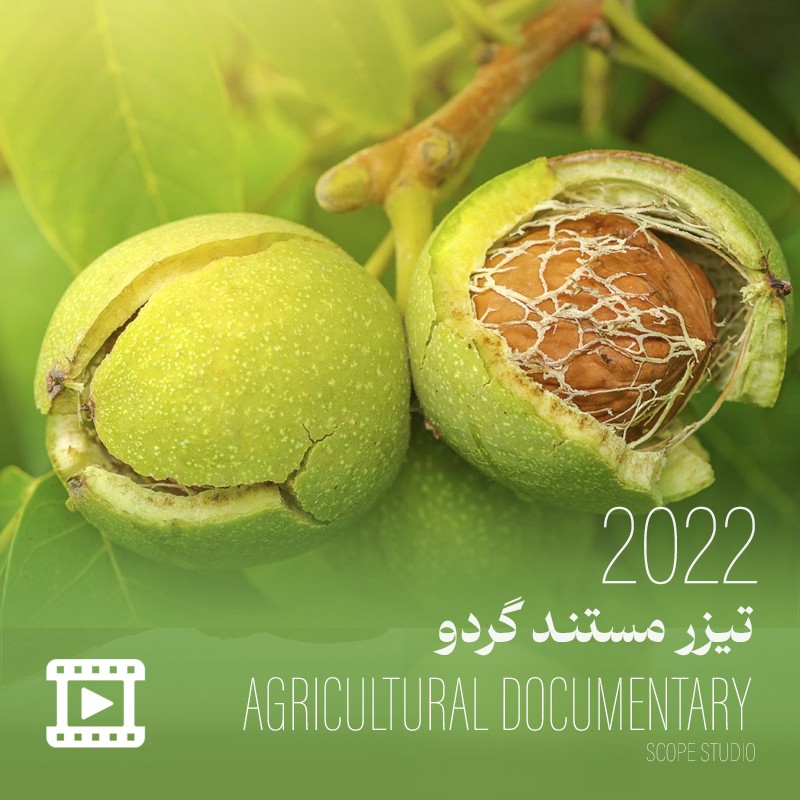 تیزر مستند گردو