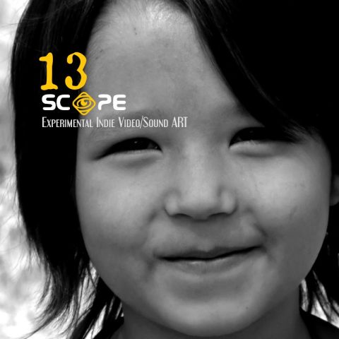 SCOPE 13