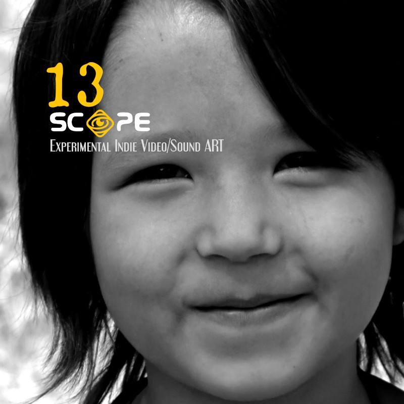 SCOPE 13