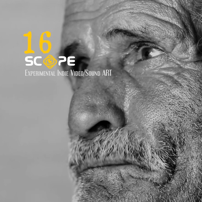 SCOPE 16